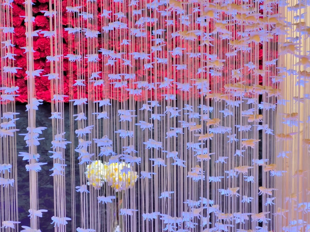 Foto: Girona temps de flors - Girona (Cataluña), España