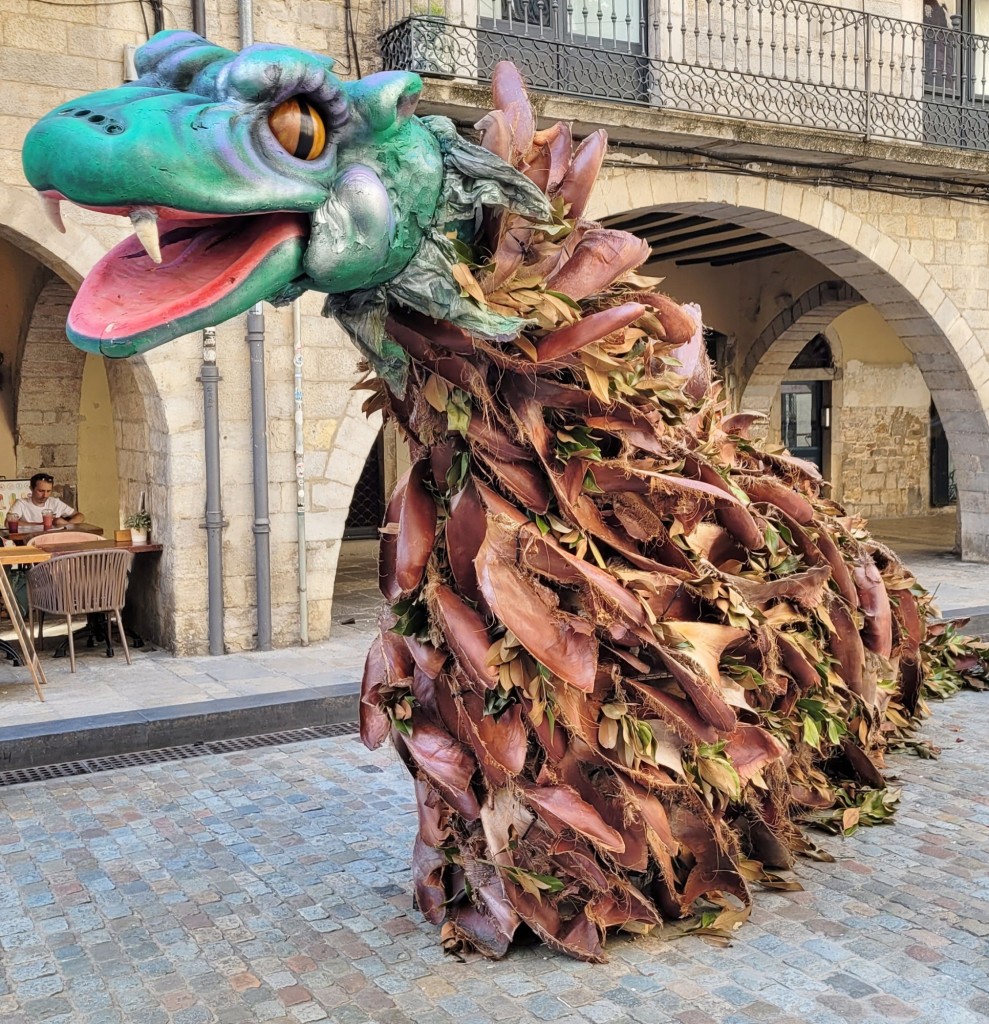 Foto: Girona temps de flors - Girona (Cataluña), España