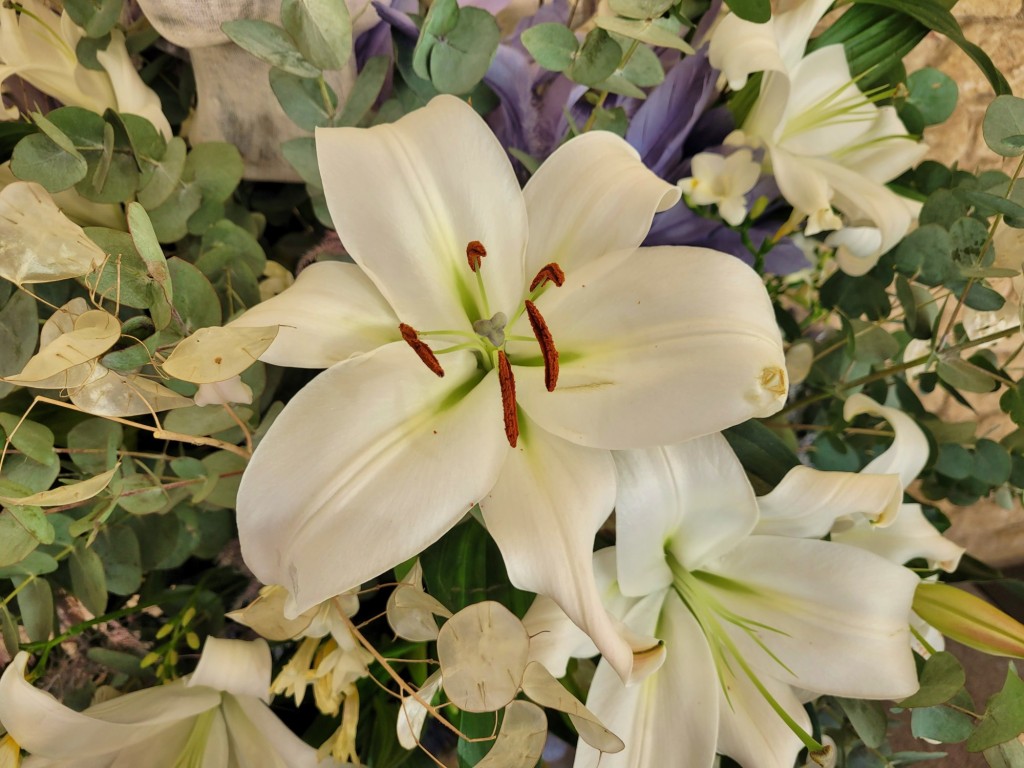 Foto: Girona temps de flors - Girona (Cataluña), España