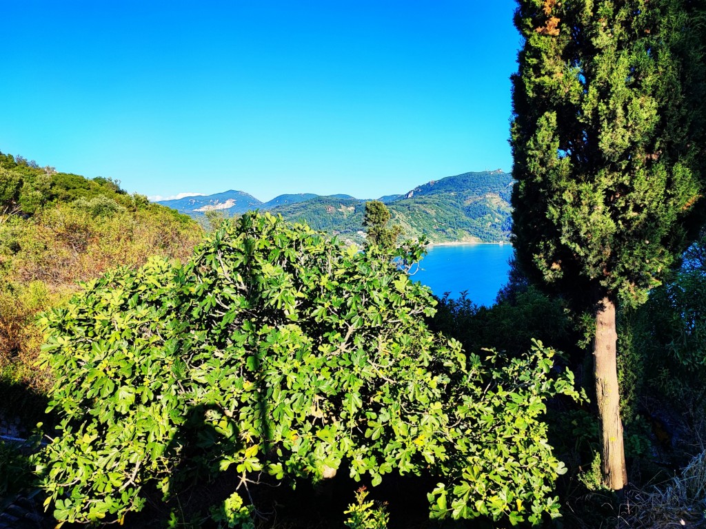 Foto: Άγιος Γεώργιος Πάγων - Corfú (Ionian Islands), Grecia