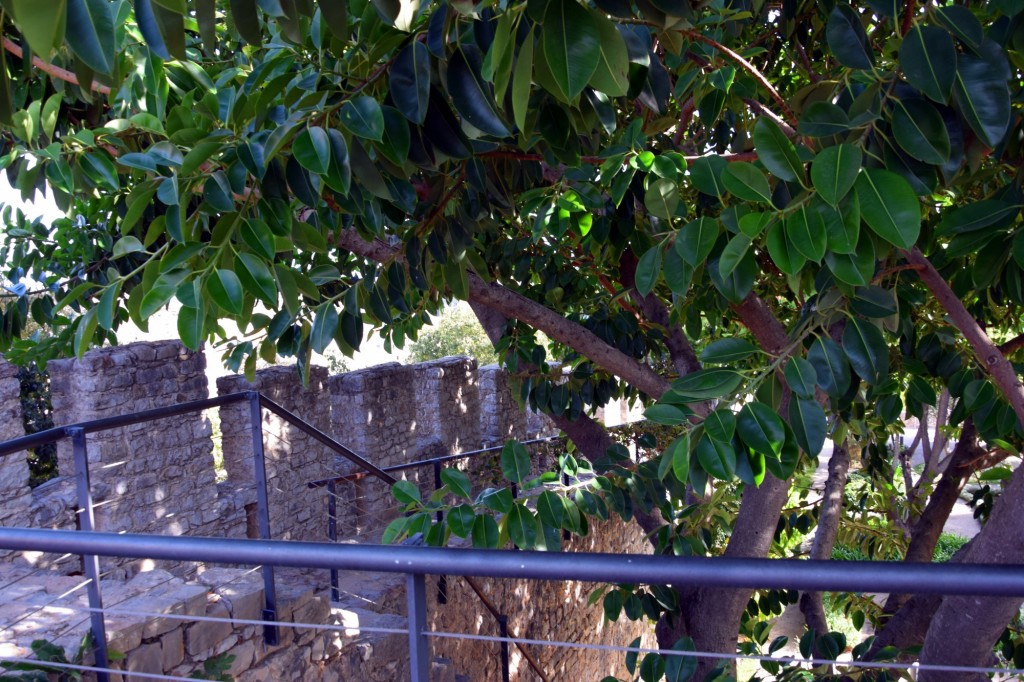 Foto de Tavira (Faro), Portugal