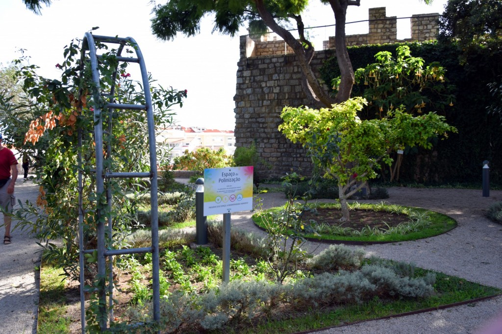 Foto: Espaço de Polinizaçâo - Tavira (Faro), Portugal