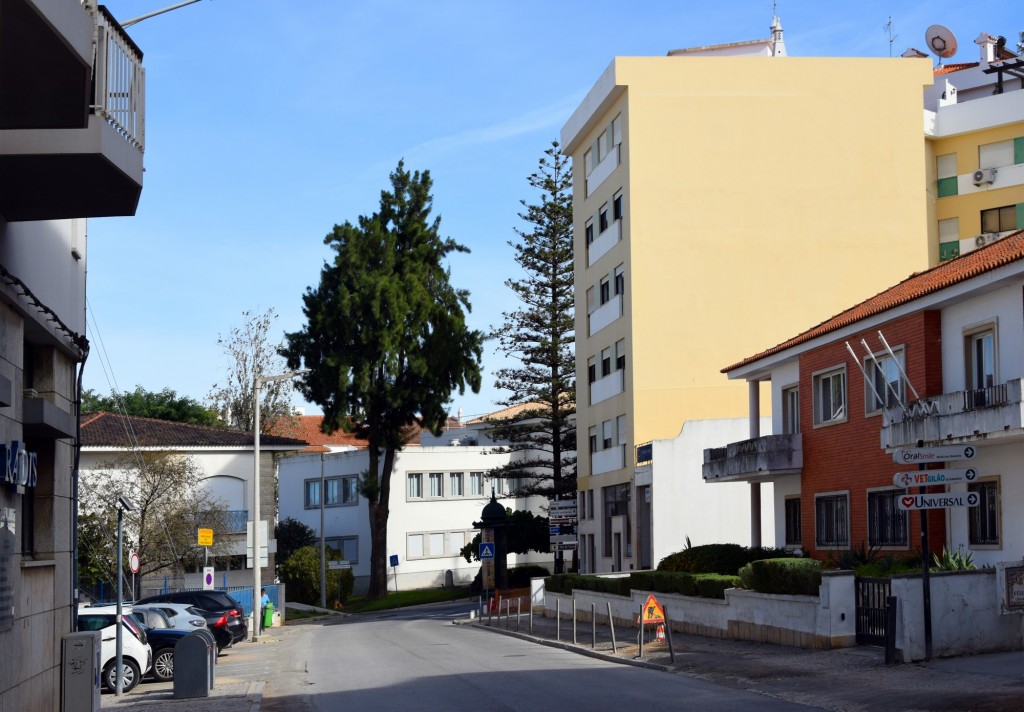 Foto: Rua DR. Augusto Carlos Palma - Tavira (Faro), Portugal