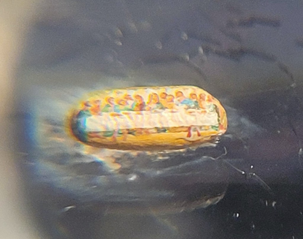 Foto: Museo de miniaturas Prf. Max - Brihuega (Guadalajara), España