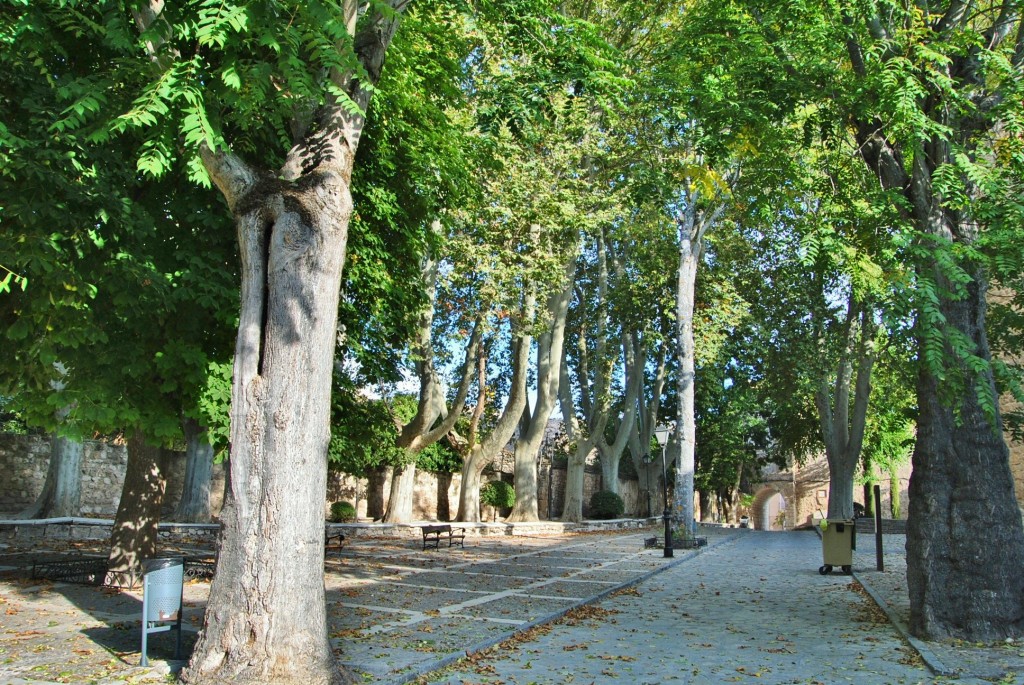 Foto: Centro histórico - Brihuega (Guadalajara), España