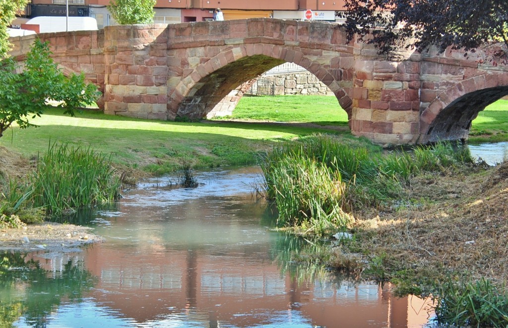 Foto: Río Gallo - Molina de Aragón (Guadalajara), España