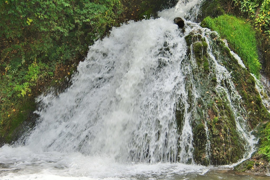 Foto: Río Cifuentes - Trillo (Guadalajara), España