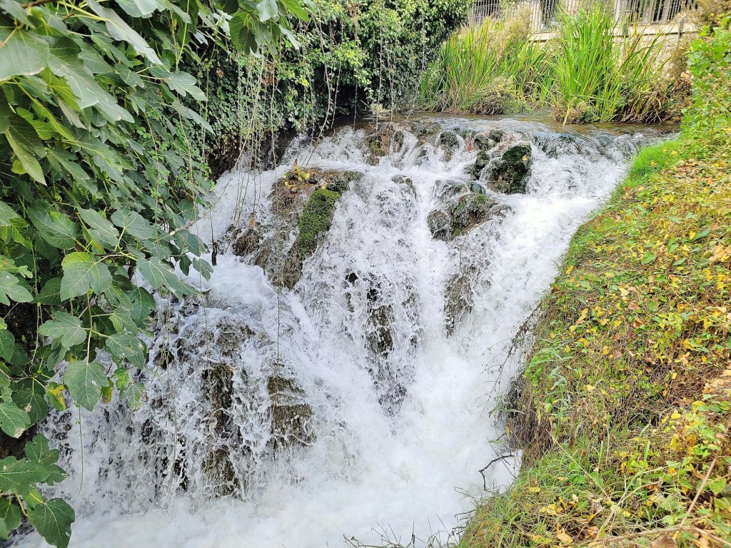 Foto: Río Cifuentes - Trillo (Guadalajara), España