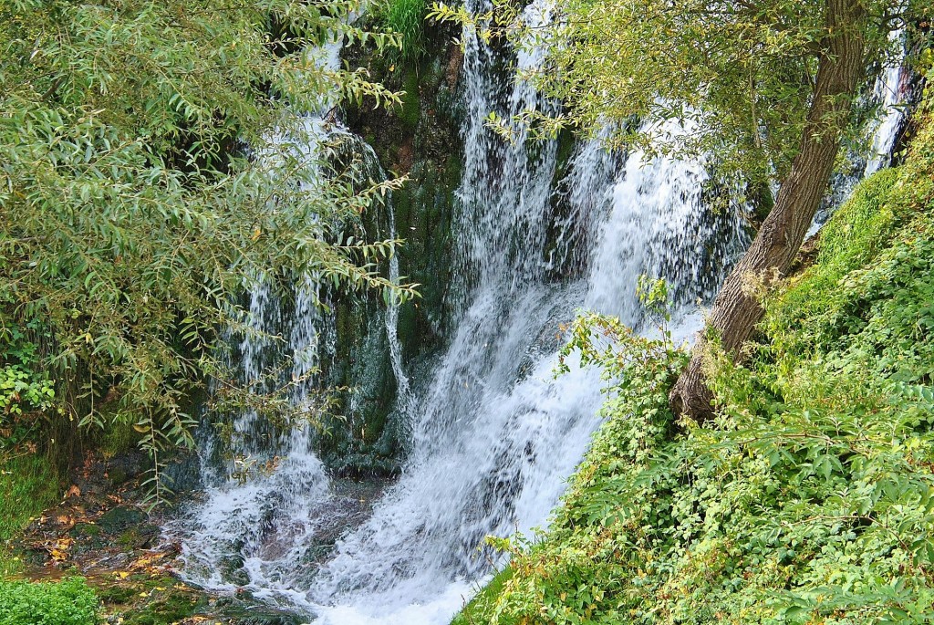 Foto: Río Cifuentes - Trillo (Guadalajara), España