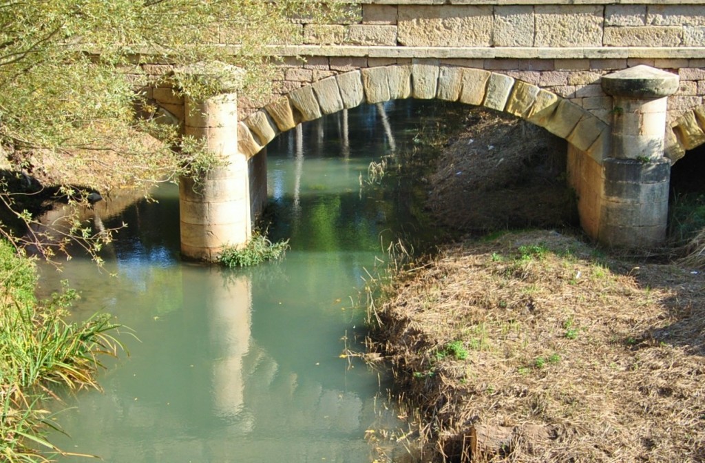 Foto: Río Gallo - Molina de Aragón (Guadalajara), España