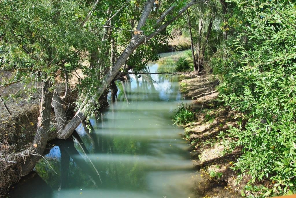 Foto: Río Gallo - Molina de Aragón (Guadalajara), España