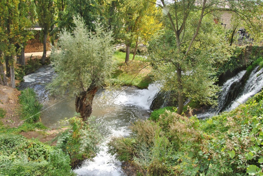 Foto: Río Cifuentes - Trillo (Guadalajara), España