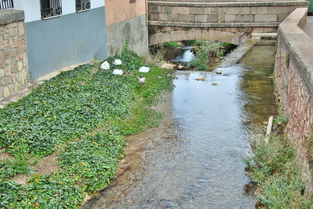 Foto: Centro histórico - Checa (Guadalajara), España