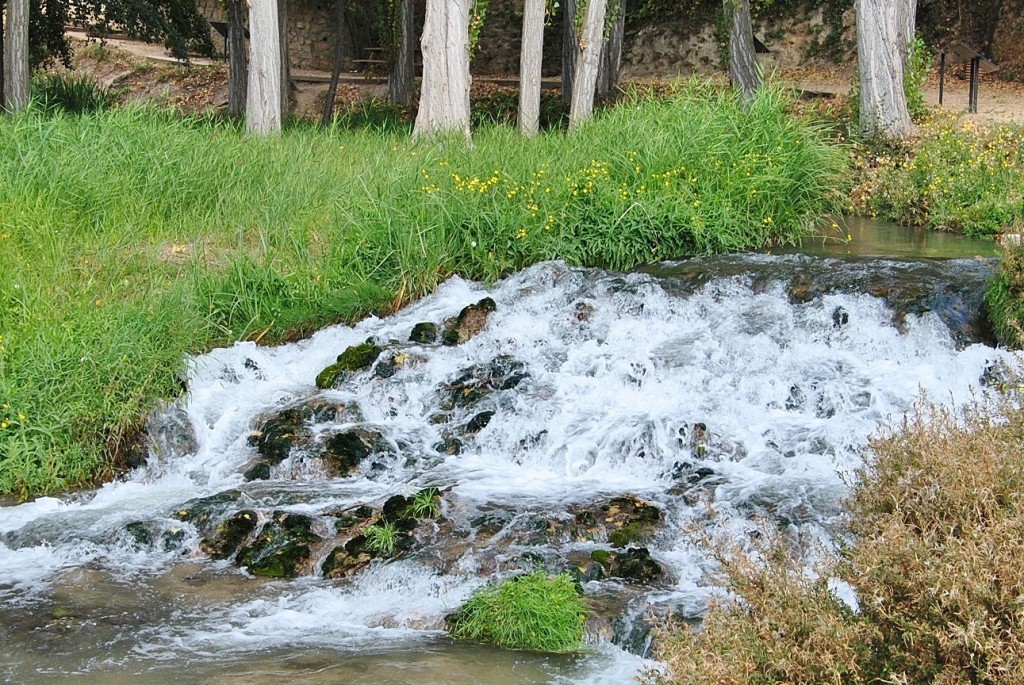 Foto: Río Cifuentes - Trillo (Guadalajara), España