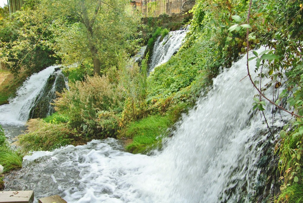 Foto: Río Cifuentes - Trillo (Guadalajara), España