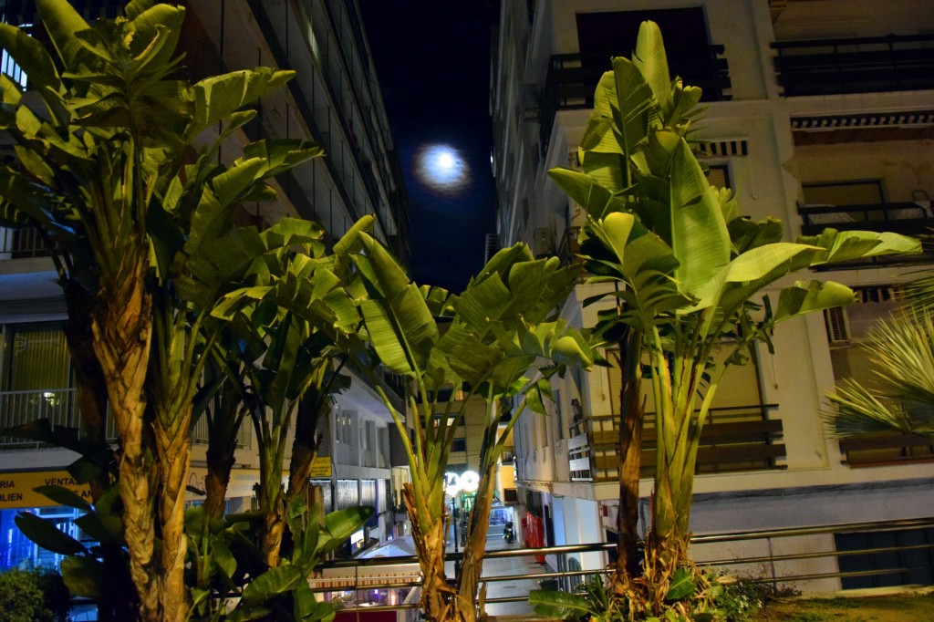 Foto de Almuñecar (Granada), España