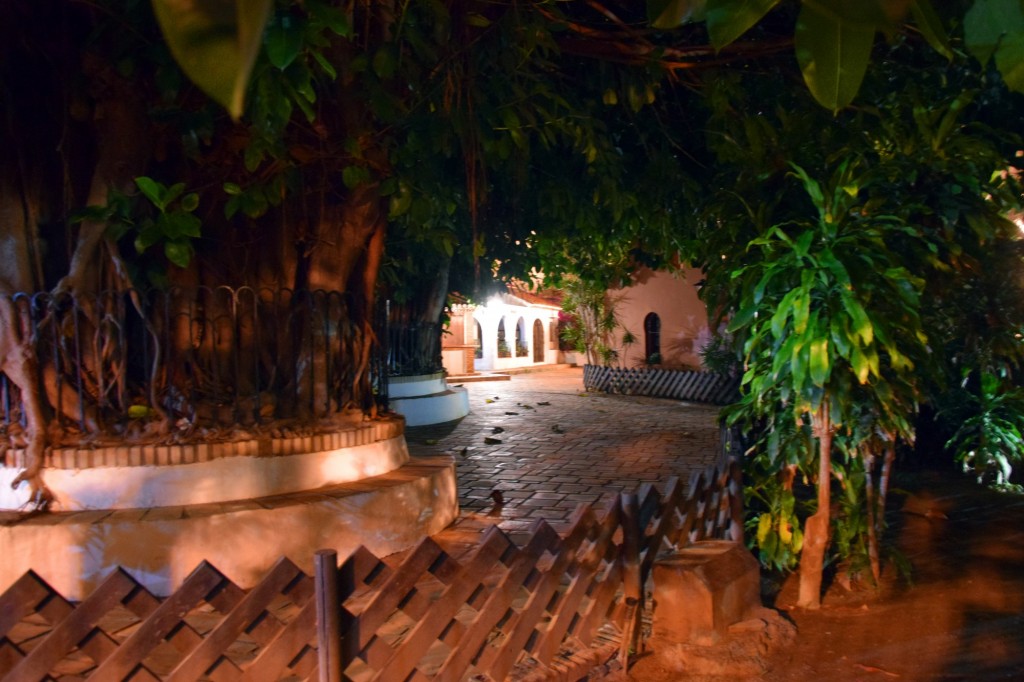 Foto: Parque el Majuelo - Almuñecar (Granada), España