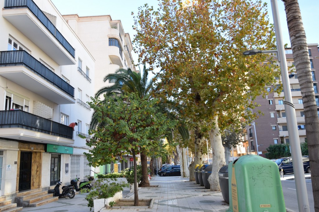 Foto: Avenida Costa del Sol - Almuñecar (Granada), España