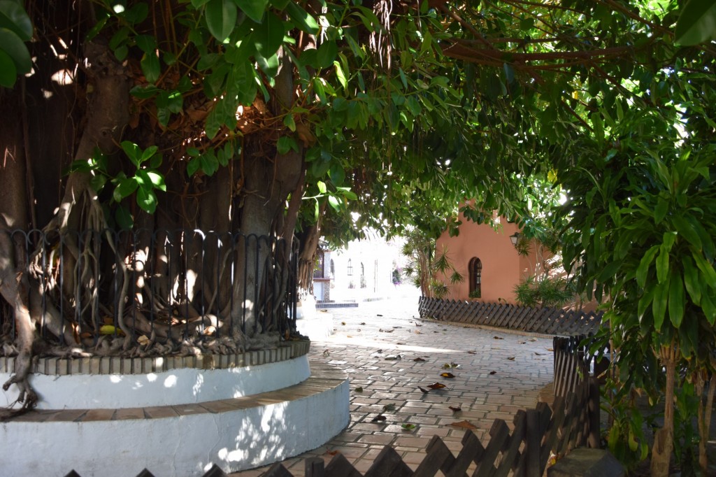 Foto de Almuñecar (Granada), España