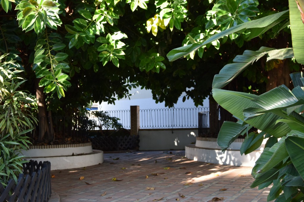 Foto de Almuñecar (Granada), España