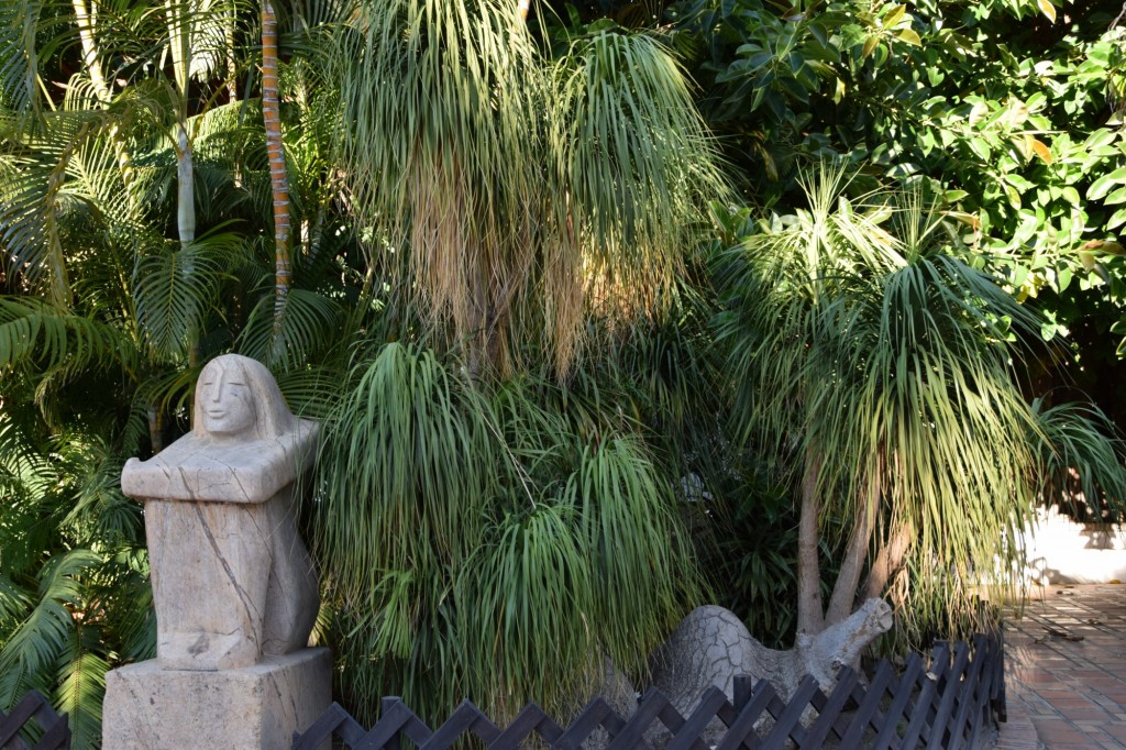 Foto: Cola de Pony  Mexico - Almuñecar (Granada), España