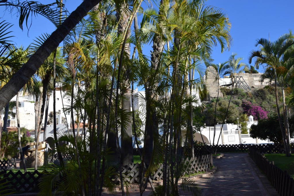 Foto: Los Peces de Syria Bañano - Almuñecar (Granada), España