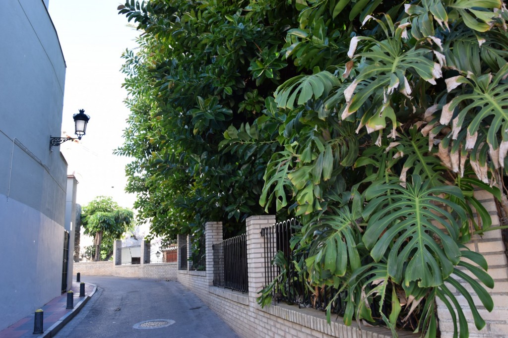 Foto: Callejón del Silencio - Almuñecar (Granada), España