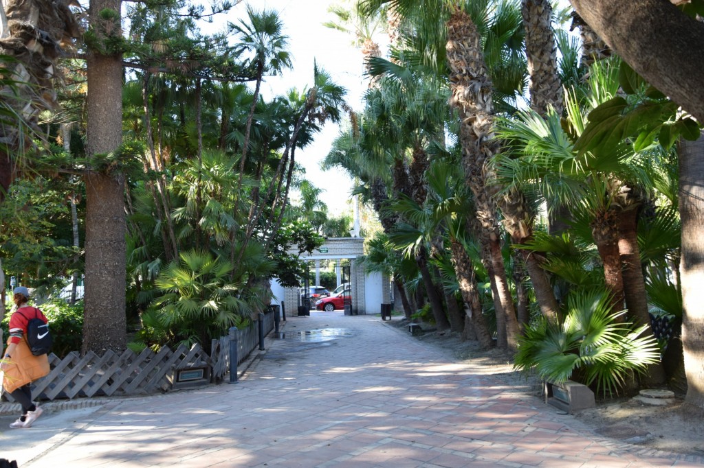 Foto de Almuñecar (Granada), España