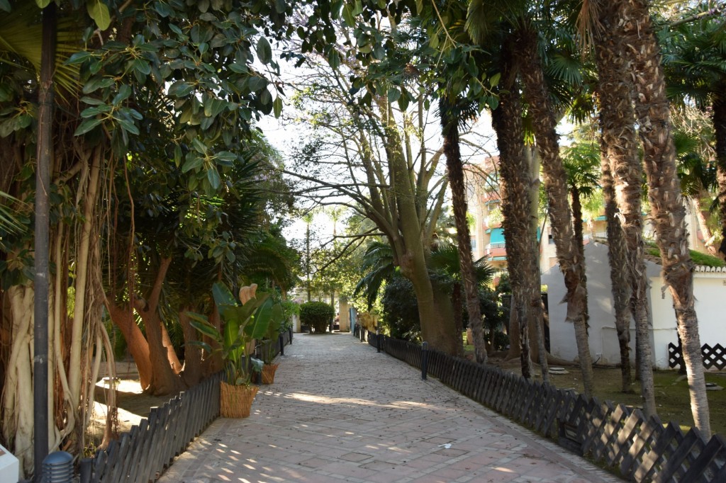 Foto: Paseo Boulebar - Almuñecar (Granada), España