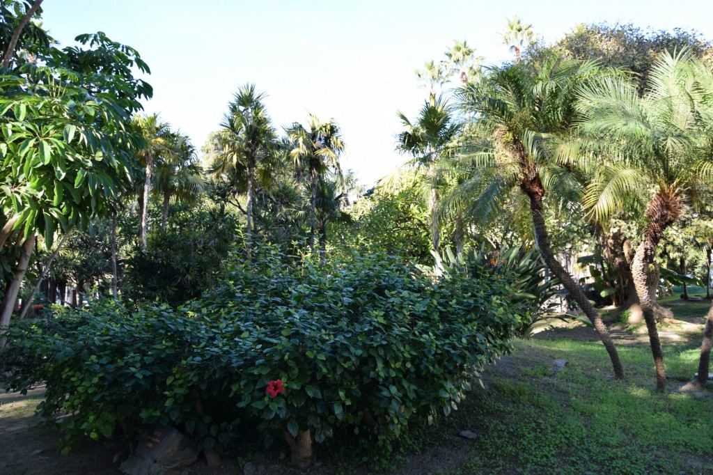 Foto de Almuñecar (Granada), España