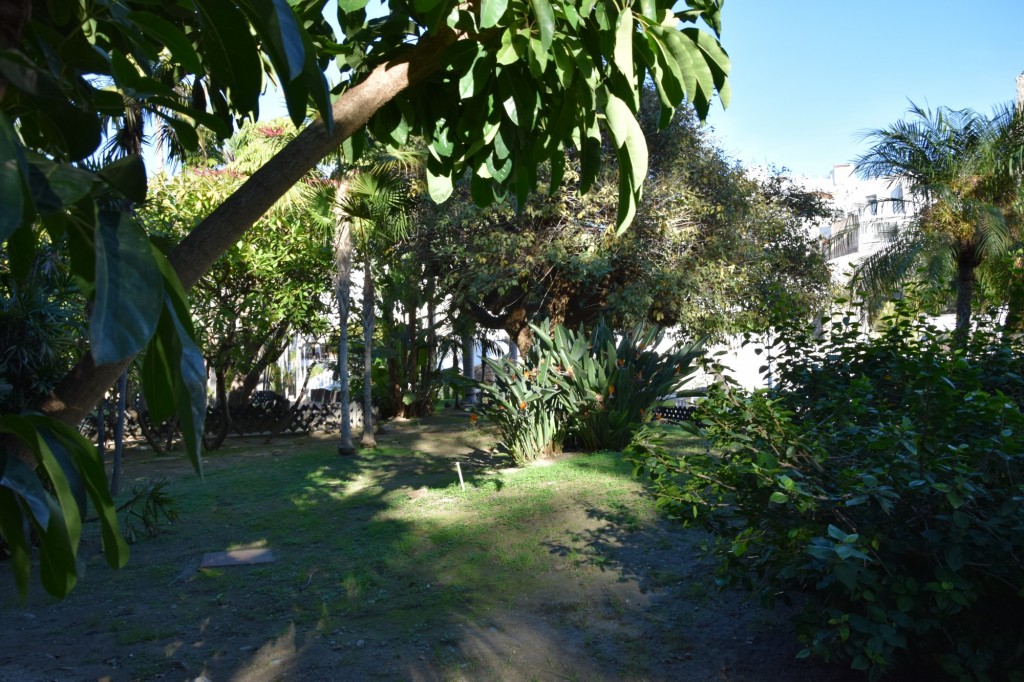 Foto de Almuñecar (Granada), España