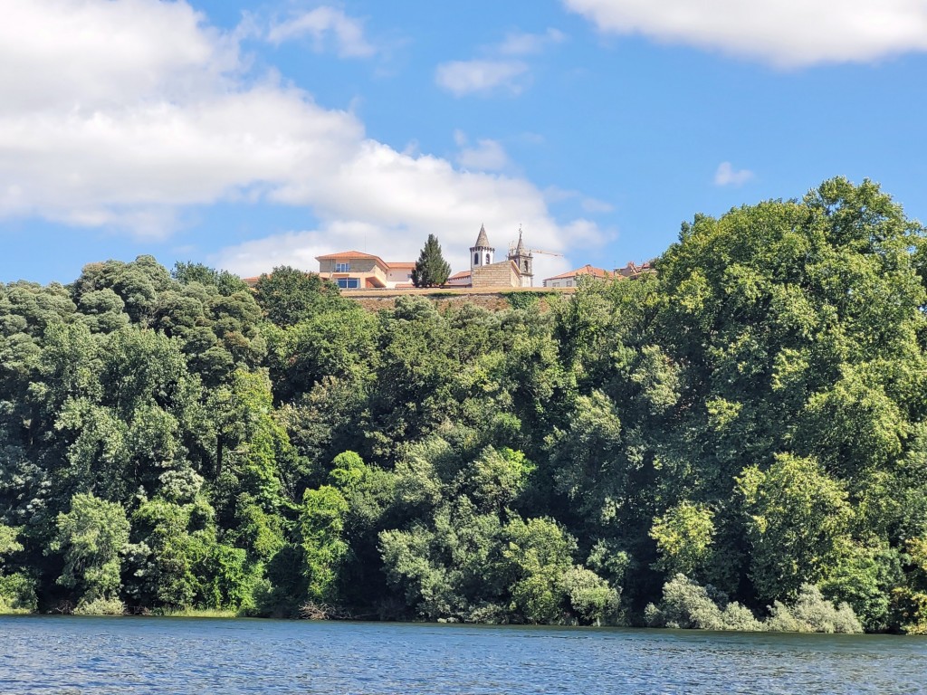 Foto: Navegando por el Miño - Tui (Pontevedra), España