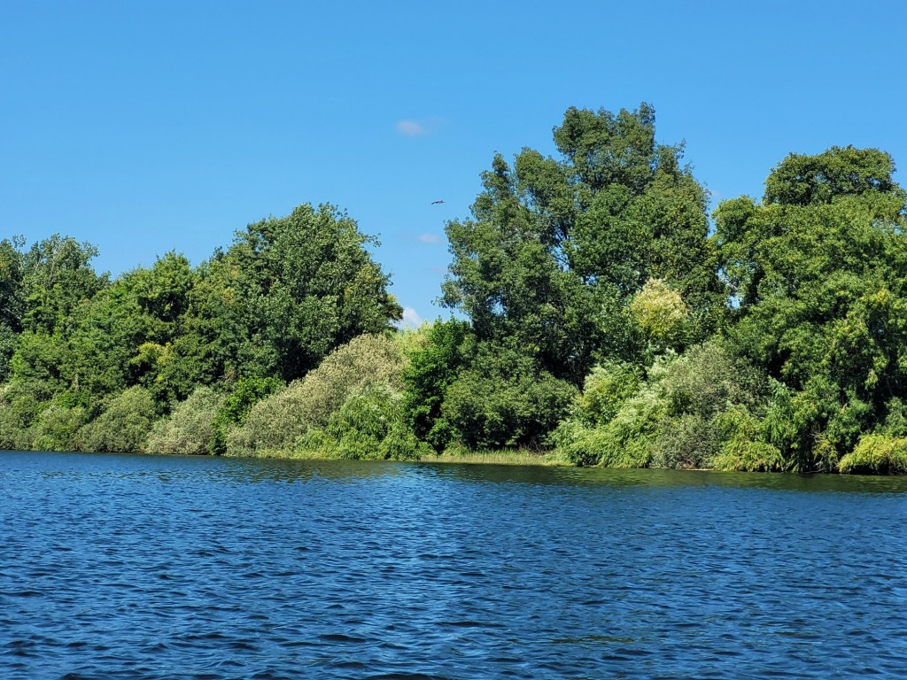 Foto: Navegando por el Miño - Tui (Pontevedra), España