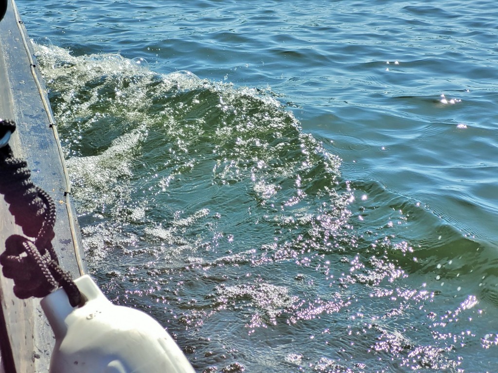 Foto: Navegando por el Miño - Tui (Pontevedra), España