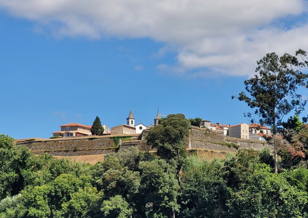 Foto: Navegando por el Miño - Tui (Pontevedra), España