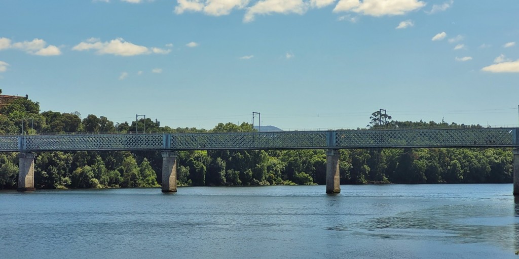 Foto: Navegando por el Miño - Tui (Pontevedra), España