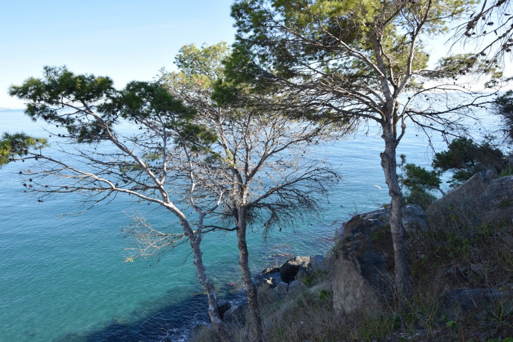 Foto de Almuñecar (Granada), España