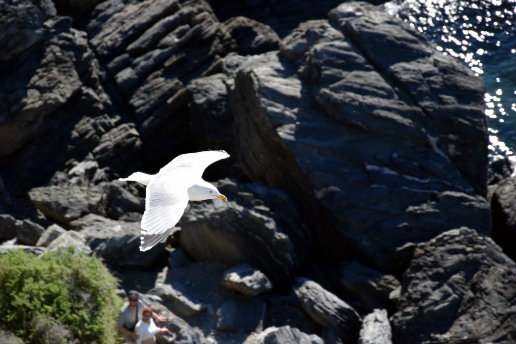 Foto de Almuñecar (Granada), España