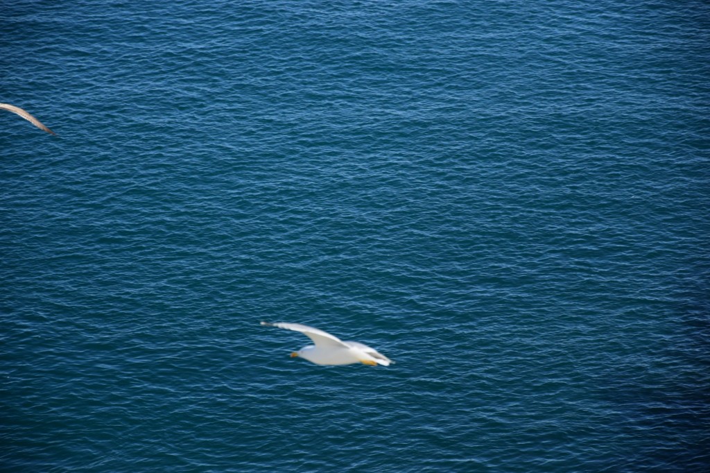 Foto de Almuñecar (Granada), España