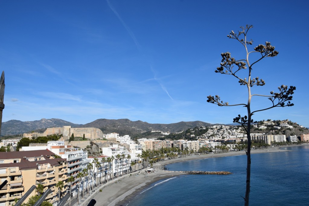 Foto: Vistas hacia Levante - Almuñecar (Granada), España