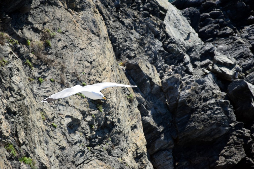 Foto de Almuñecar (Granada), España