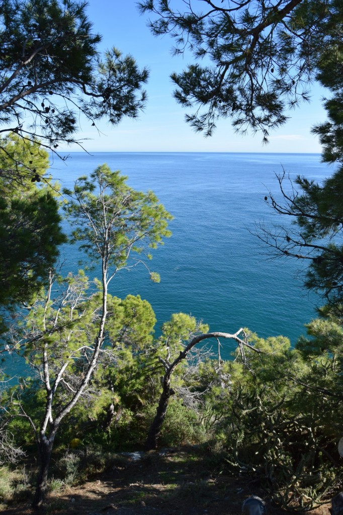Foto de Almuñecar (Granada), España