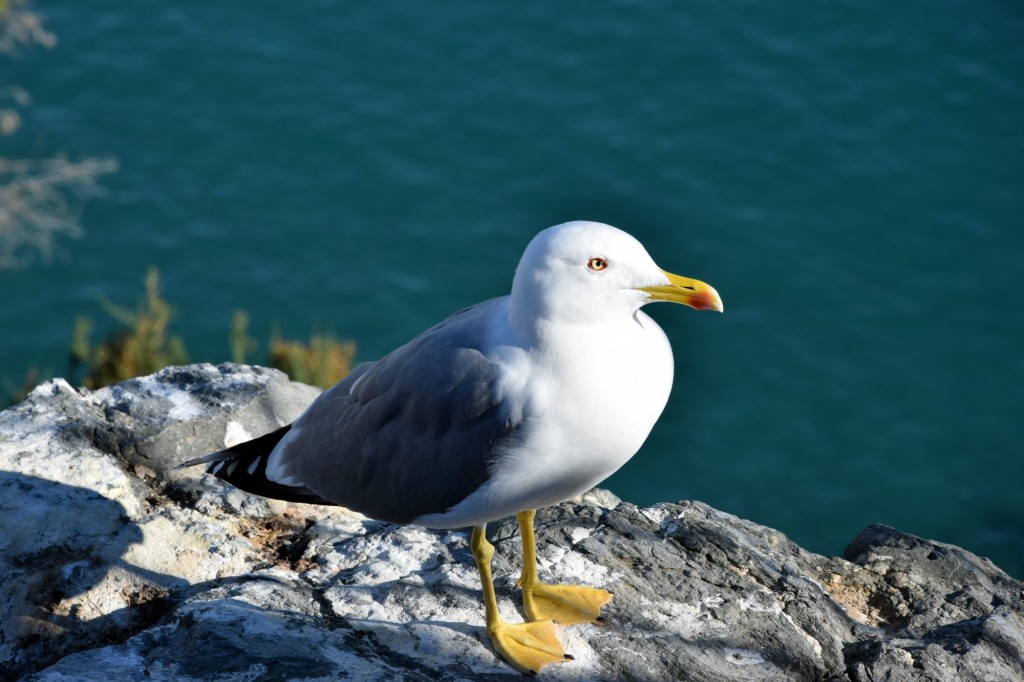 Foto de Almuñecar (Granada), España