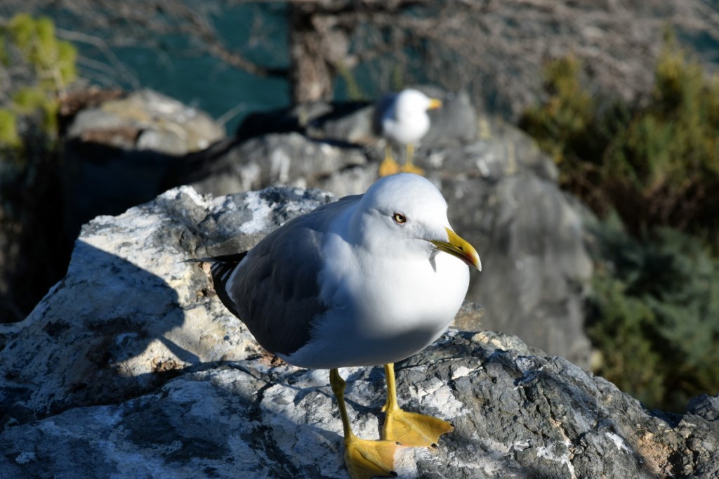 Foto de Almuñecar (Granada), España