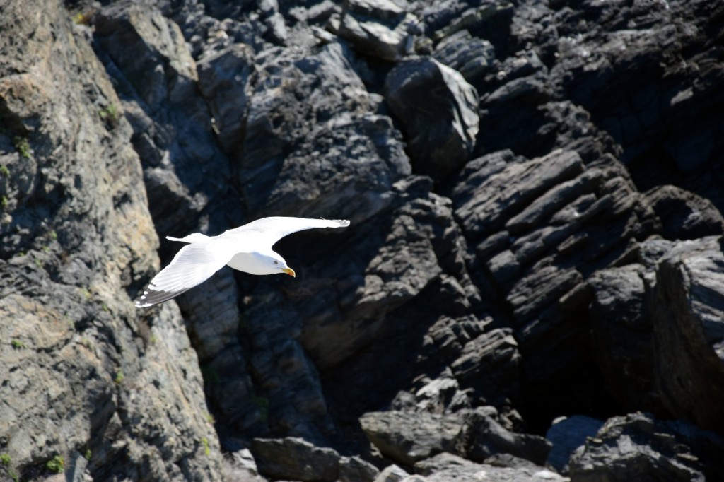 Foto de Almuñecar (Granada), España
