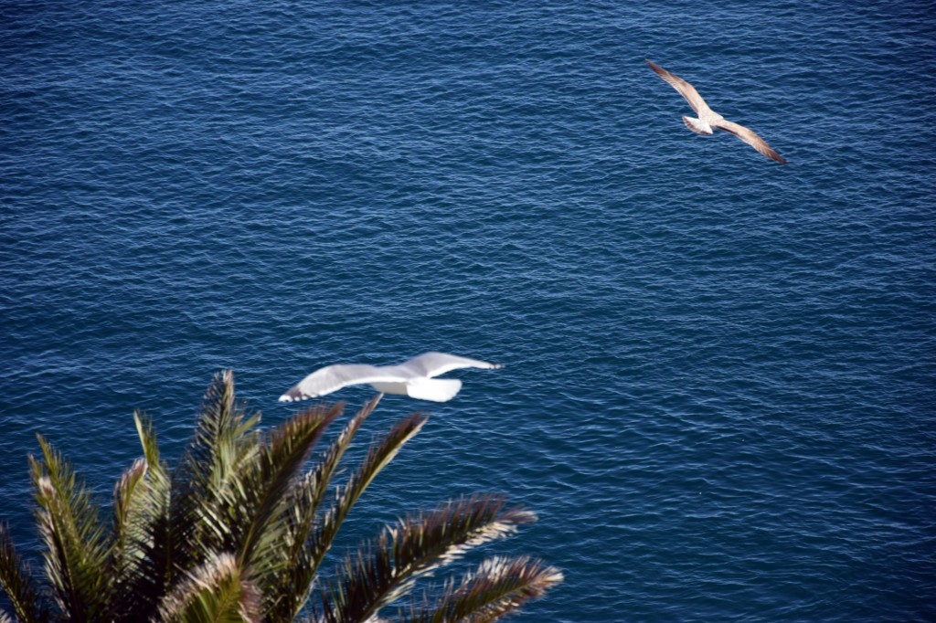 Foto de Almuñecar (Granada), España