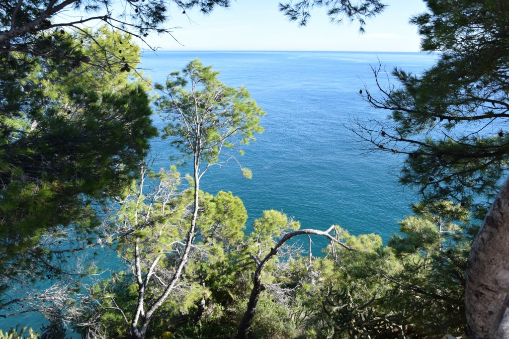 Foto de Almuñecar (Granada), España