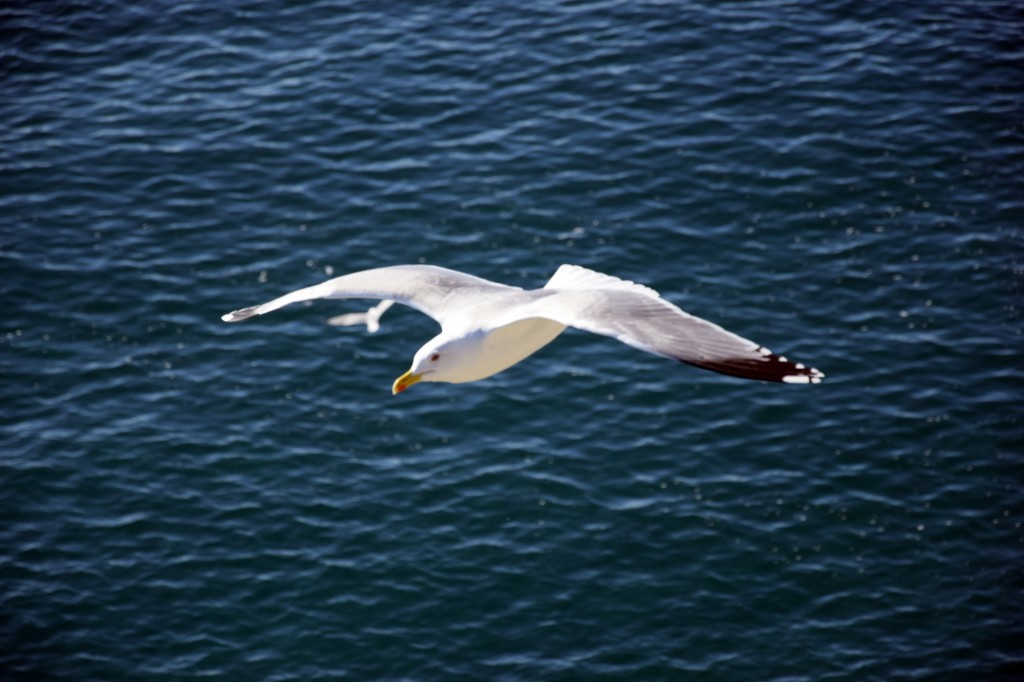 Foto de Almuñecar (Granada), España