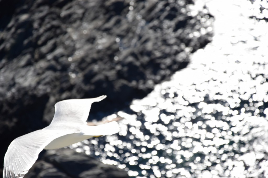 Foto de Almuñecar (Granada), España