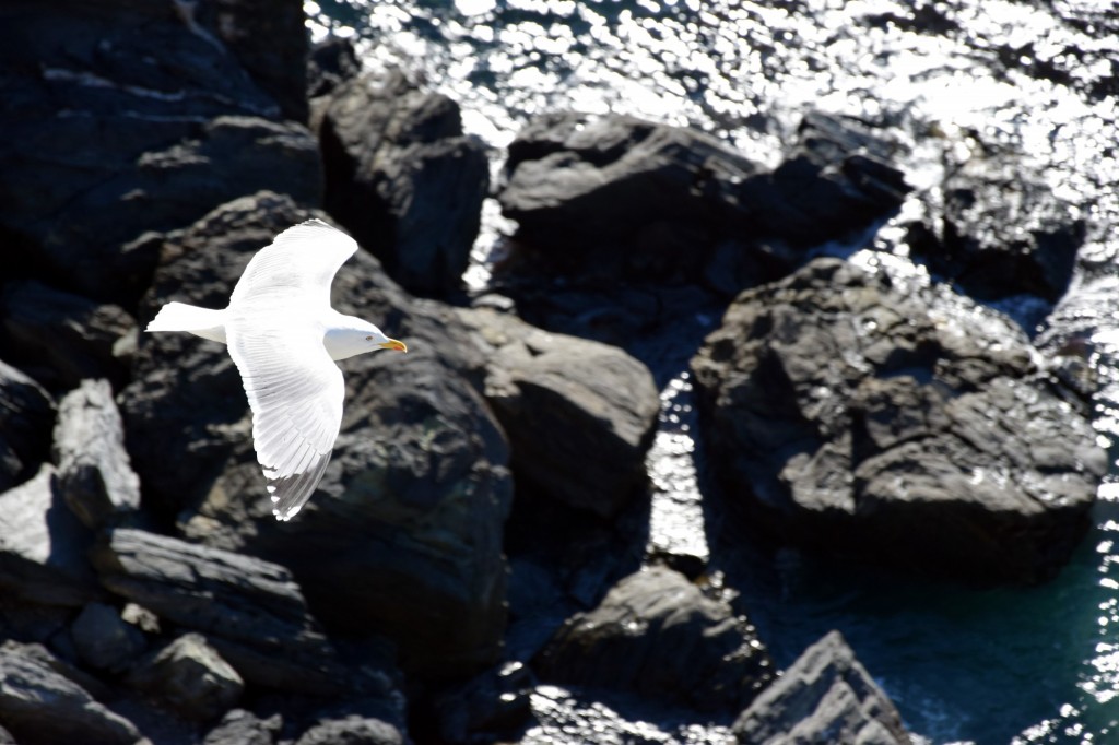 Foto de Almuñecar (Granada), España